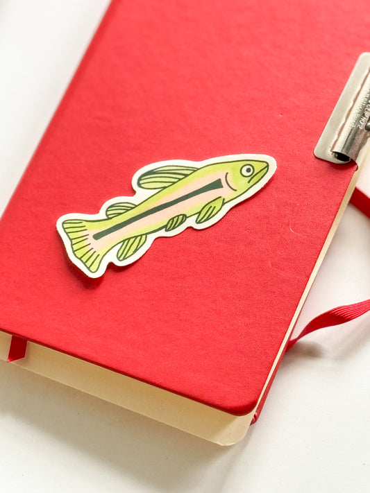 Rainbow Trout Sticker